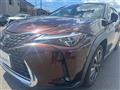 2020 Lexus UX