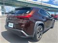 2020 Lexus UX
