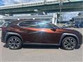 2020 Lexus UX