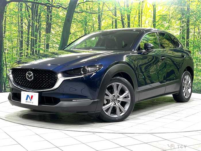 2019 Mazda Mazda Others