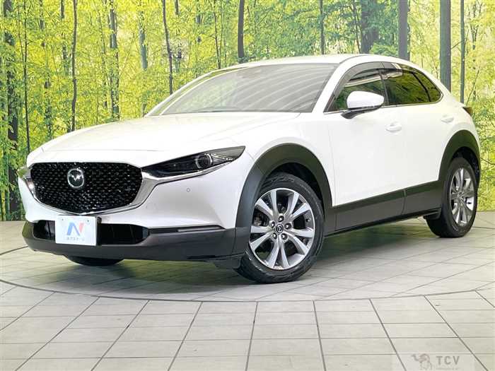 2019 Mazda Mazda Others