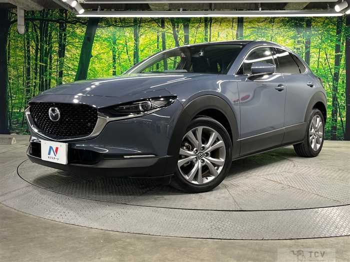 2019 Mazda Mazda Others