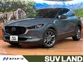 2019 Mazda Mazda Others