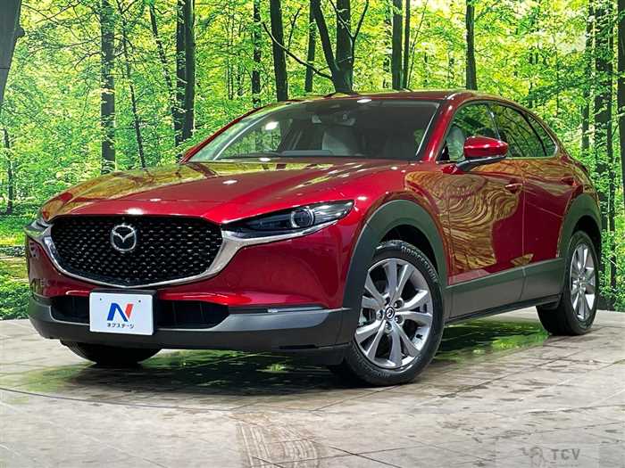 2019 Mazda Mazda Others