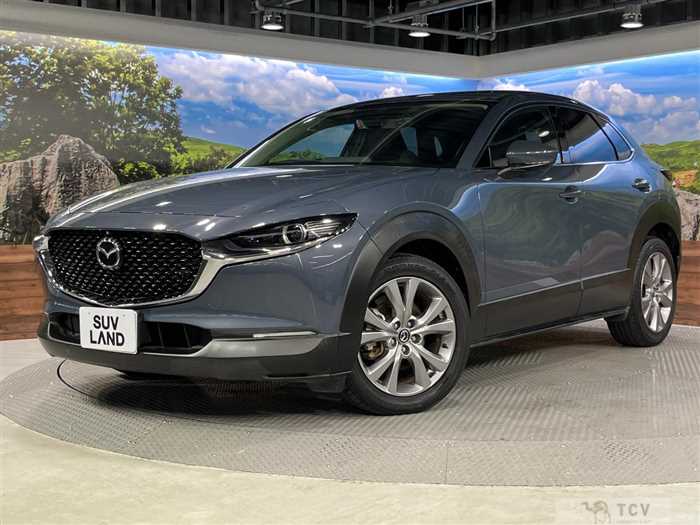 2019 Mazda Mazda Others