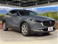 2019 Mazda Mazda Others