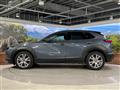 2019 Mazda Mazda Others