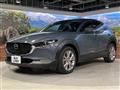 2019 Mazda Mazda Others