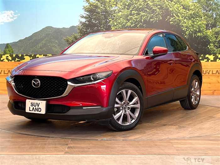 2019 Mazda Mazda Others