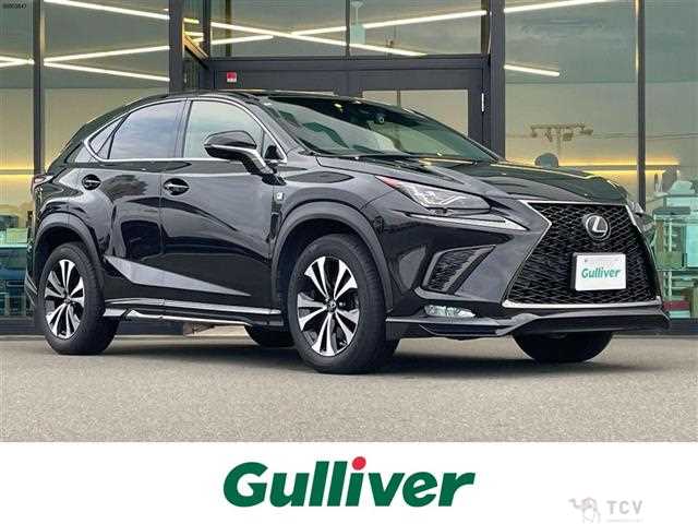 2018 Lexus NX