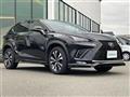 2018 Lexus NX