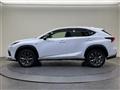 2020 Lexus NX