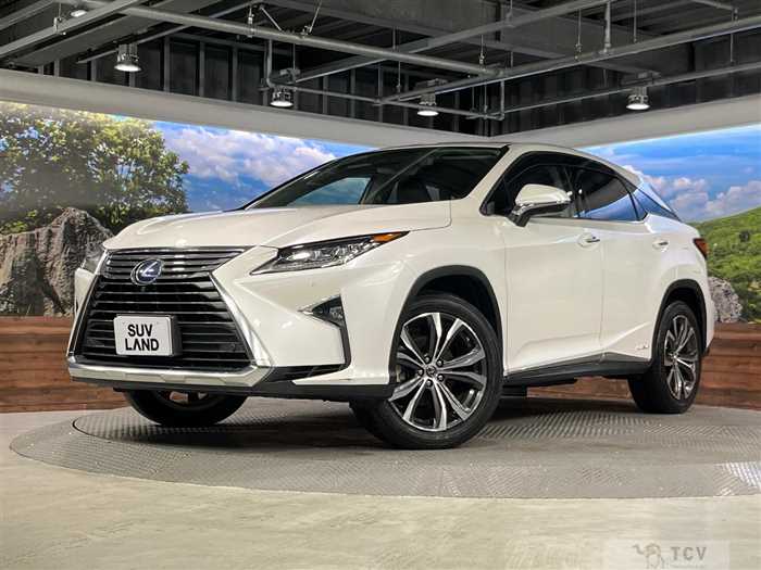 2019 Lexus RX
