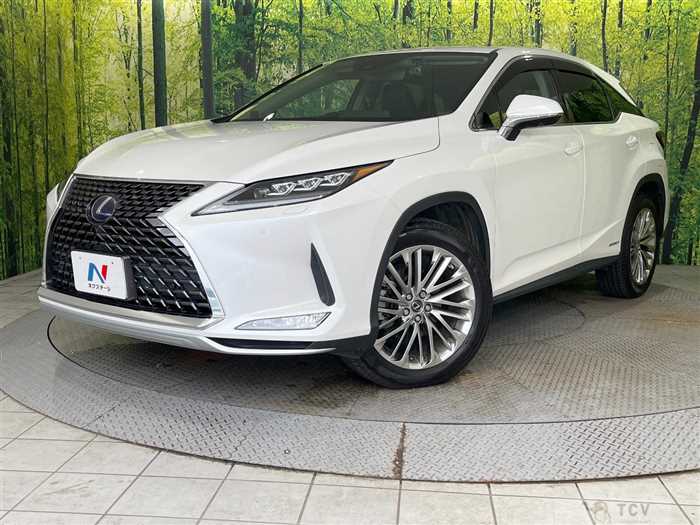 2020 Lexus RX