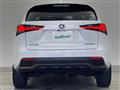 2020 Lexus NX