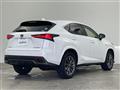 2020 Lexus NX