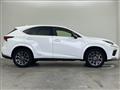 2020 Lexus NX