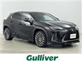 2020 Lexus UX