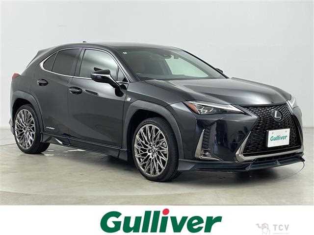 2020 Lexus UX