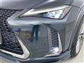 2020 Lexus UX
