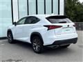 2019 Lexus NX