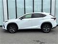 2019 Lexus NX