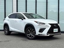 2019 Lexus NX