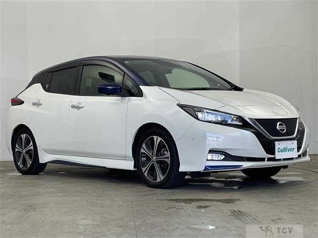 2017 Nissan Leaf