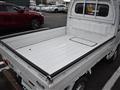 2020 Suzuki Carry Truck