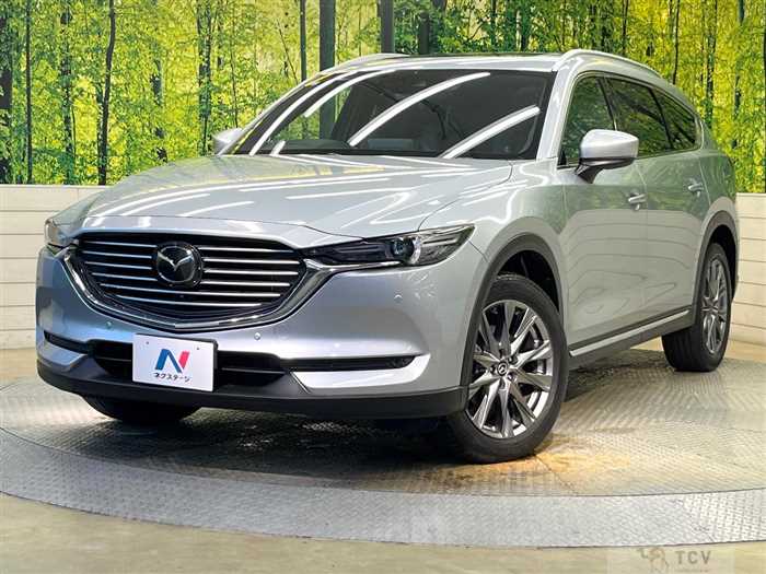 2019 Mazda CX-8