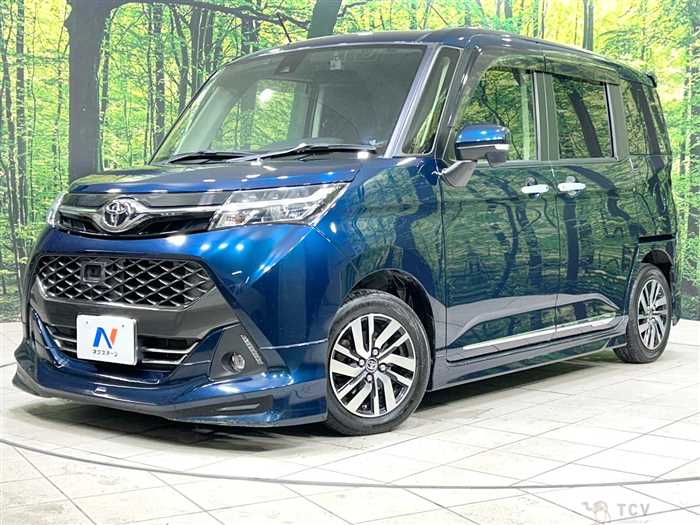 2017 Toyota Tank
