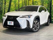 2019 Lexus Other