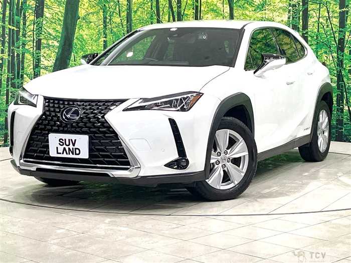 2021 Lexus Other