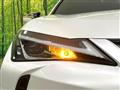 2021 Lexus Other