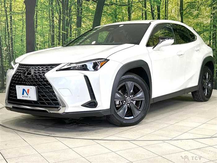2024 Lexus Other