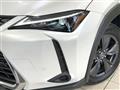 2024 Lexus Other