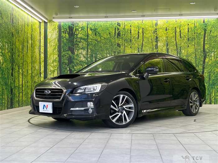 2015 Subaru Levorg