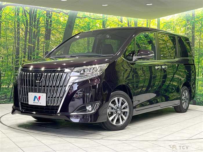 2019 Toyota Esquire