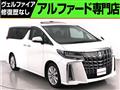2019 Toyota Alphard G