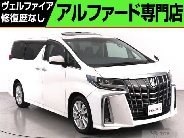 2019 Toyota Alphard G
