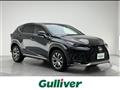 2019 Lexus NX