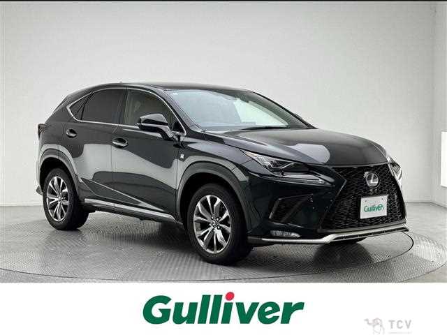 2019 Lexus NX