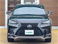 2019 Lexus NX