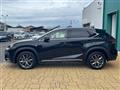 2019 Lexus NX