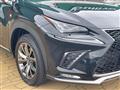2019 Lexus NX