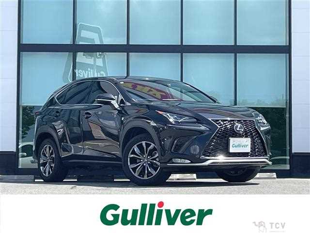 2018 Lexus NX