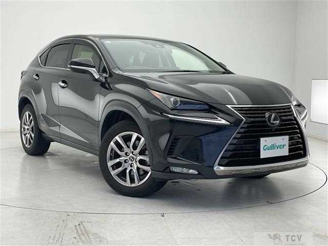 2019 Lexus NX