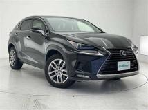 2019 Lexus NX