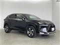 2020 Lexus NX
