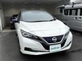 2020 Nissan Leaf